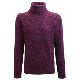 ALEXANDER Rollneck sweater